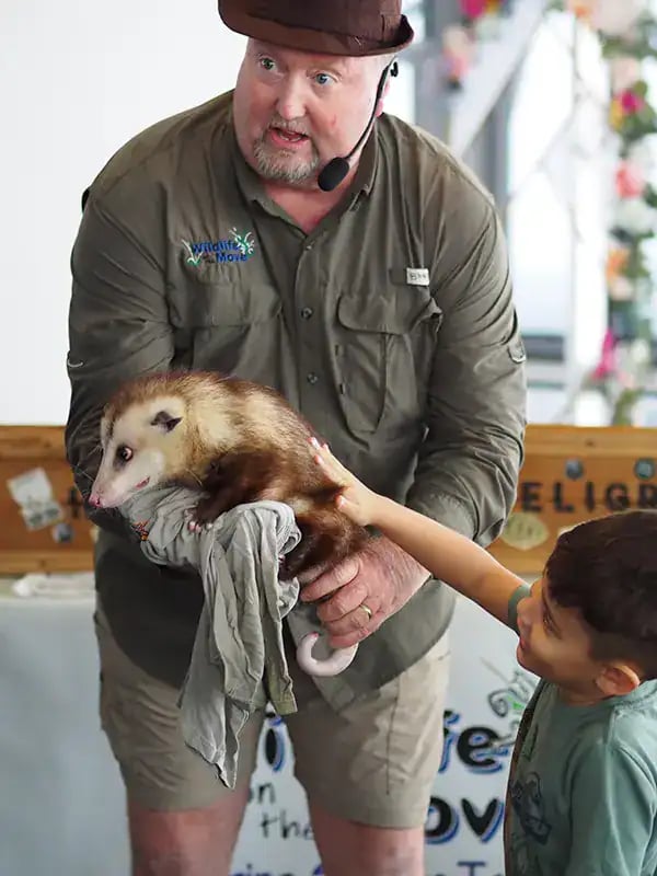 Wildlife on the Move 3