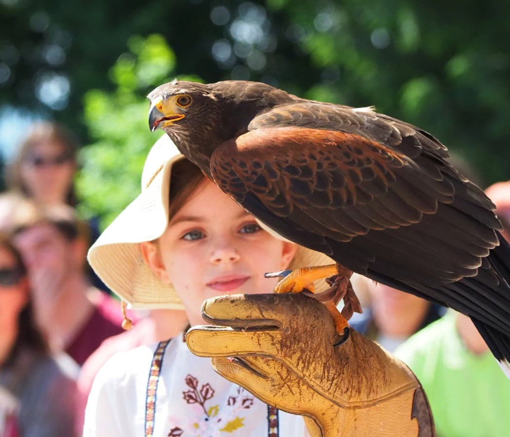 The Eagle Park 1