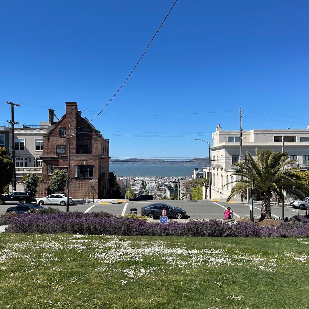 Pacific Heights Mansions Tour 3