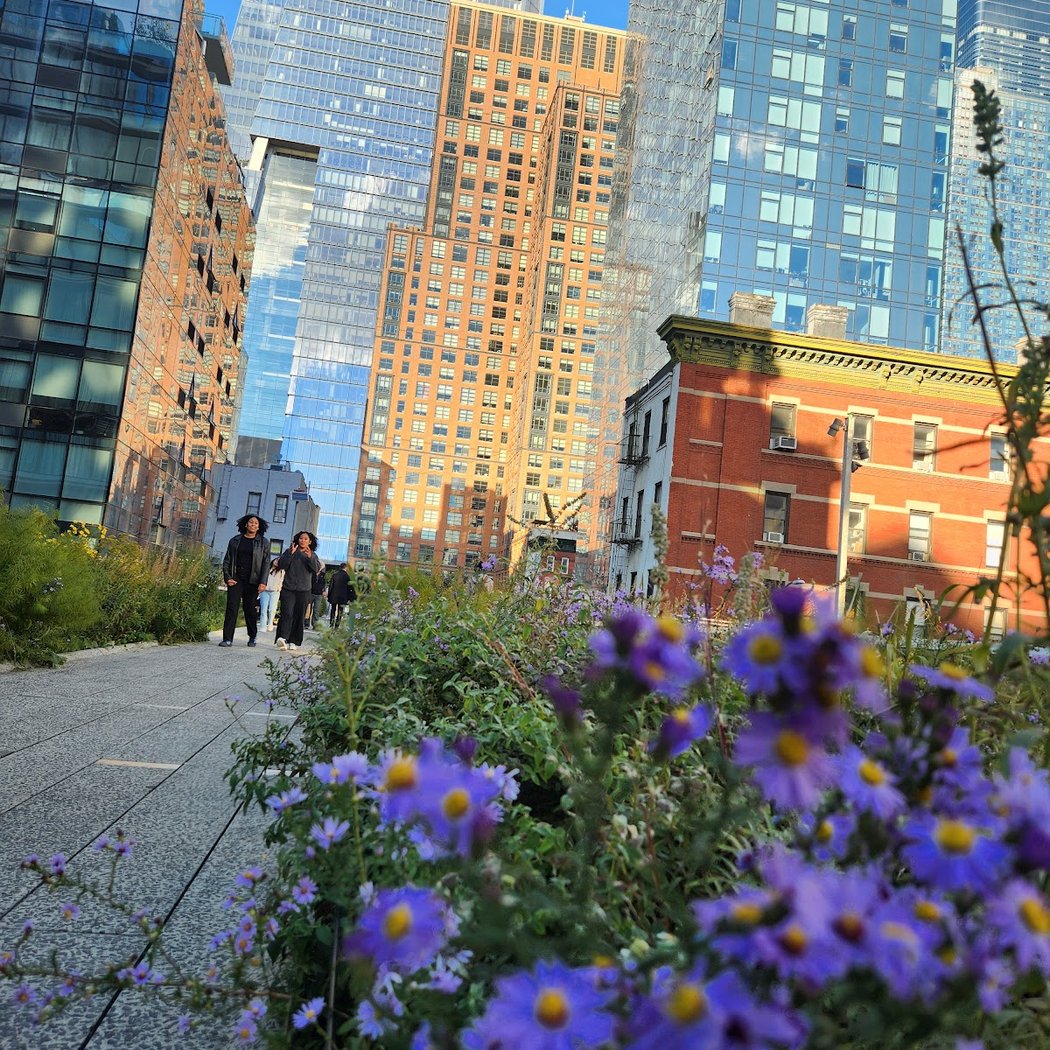 High Line Interim Walkway 1