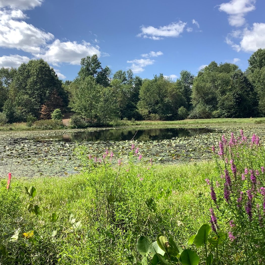 Stewart State Forest 1