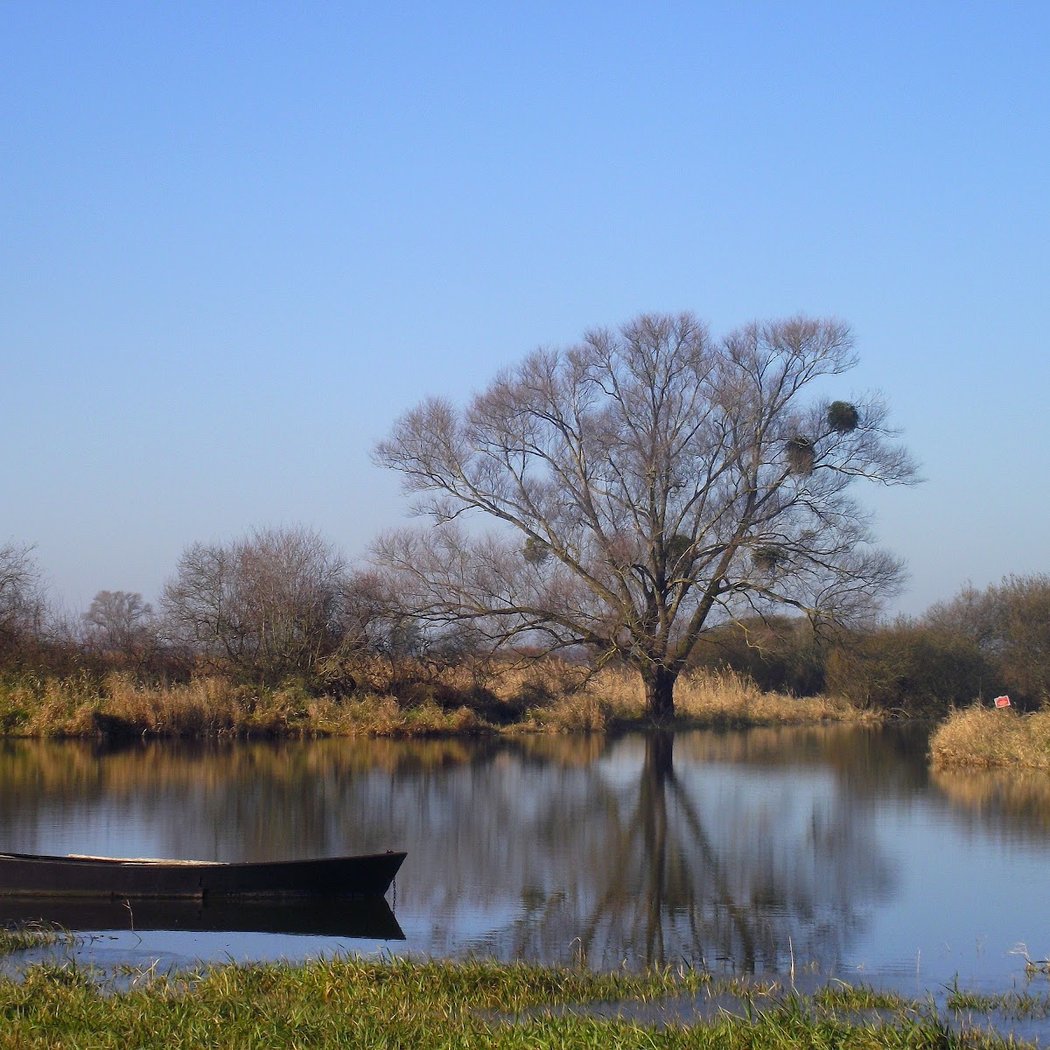 Réserve Naturelle du Lac de Grand-Lieu 4