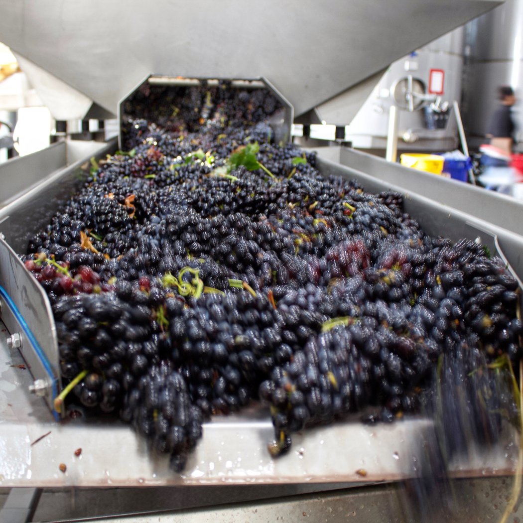The Wine Foundry 1