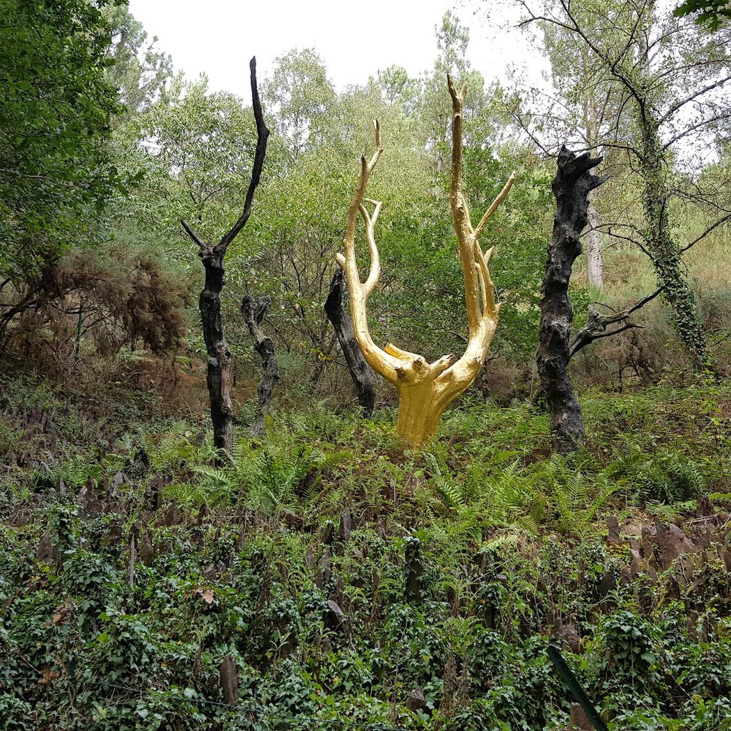 Brocéliande Forest 2