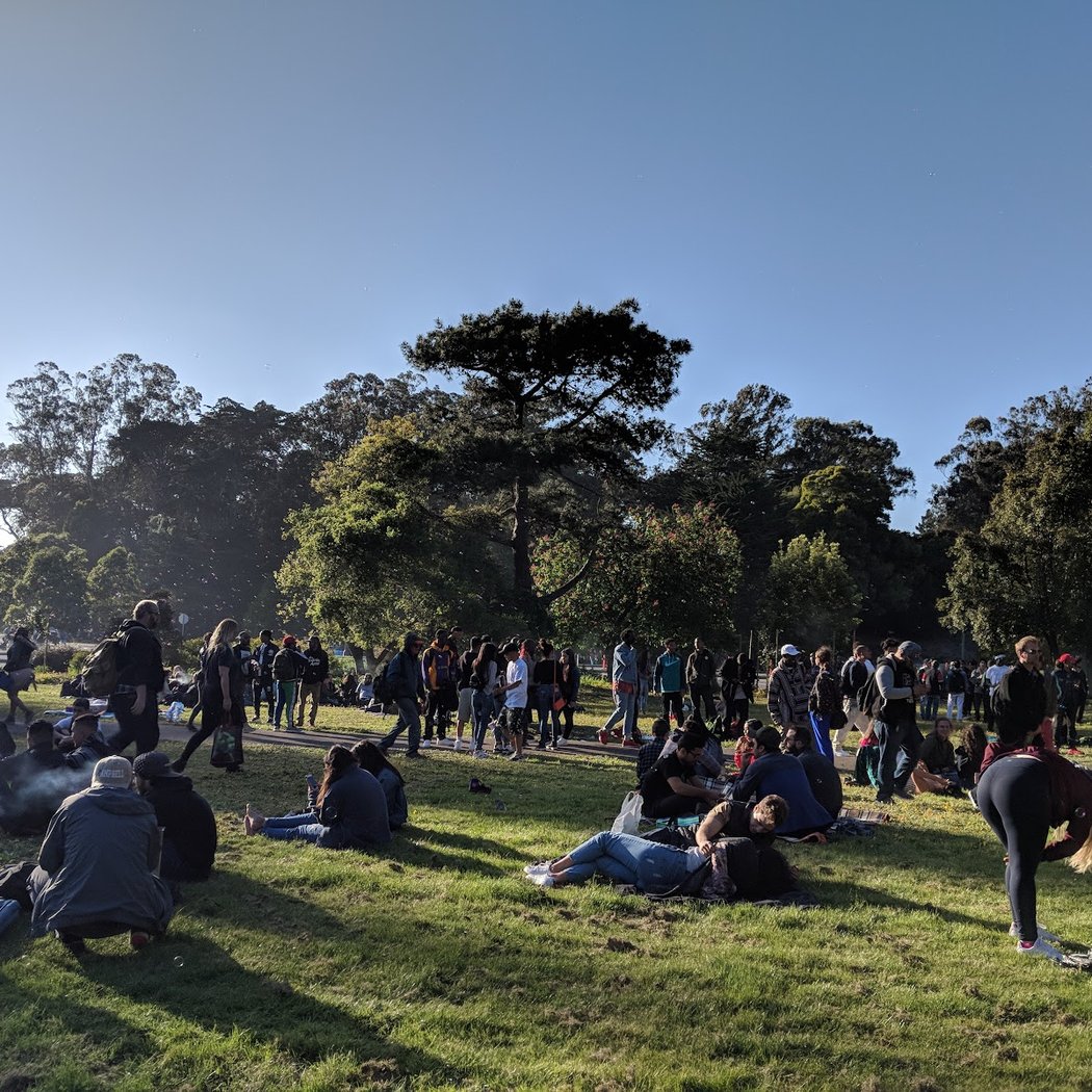 Hippie Hill 1