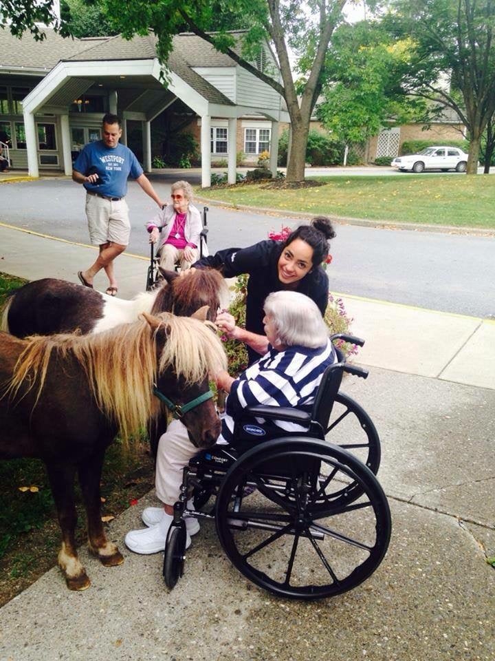 Lucky Orphans Horse Rescue 1