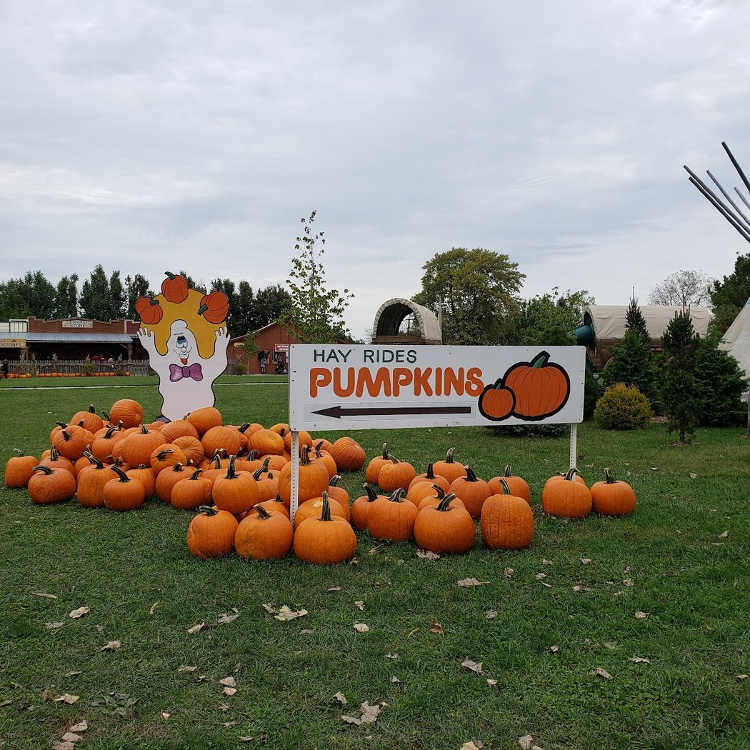 Pumpkin Fest 2