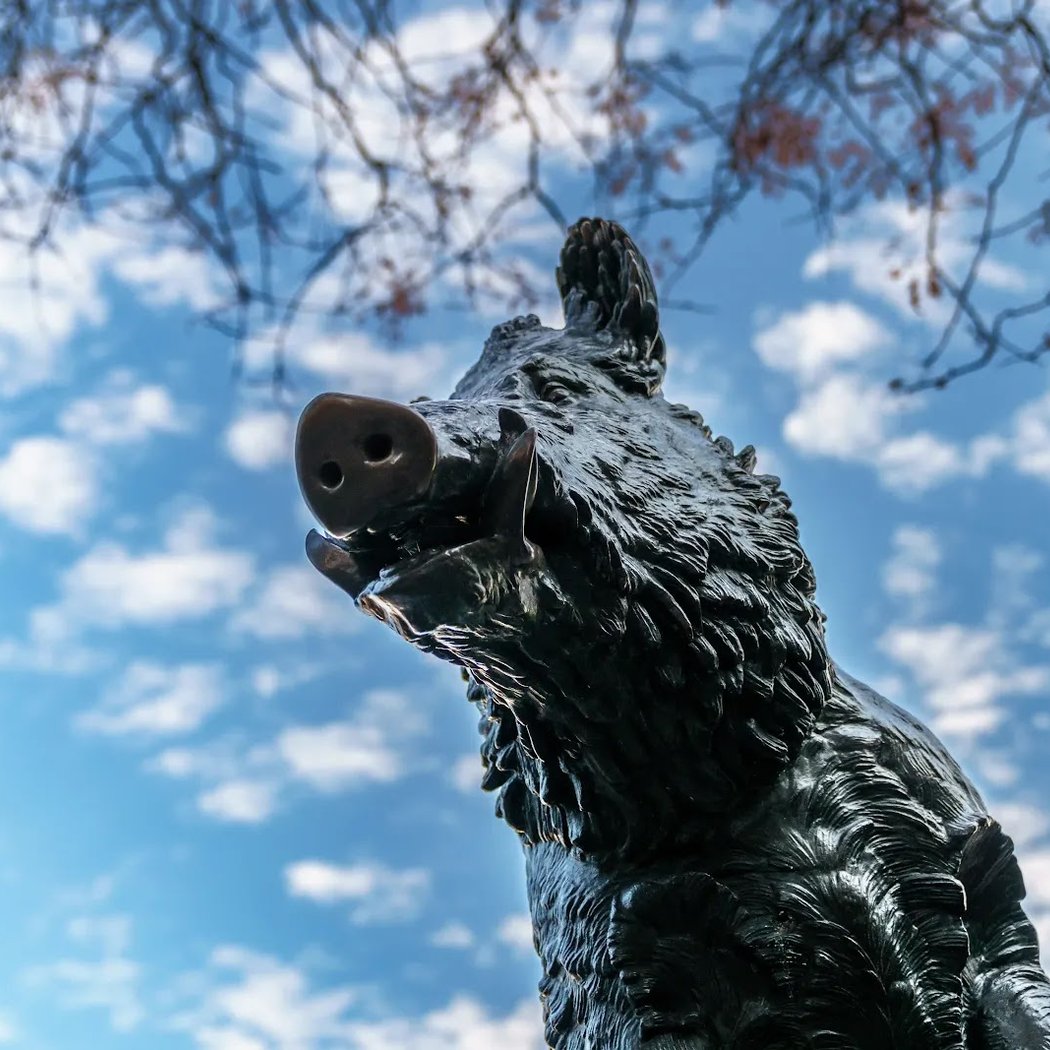 Porcellino Statue 1