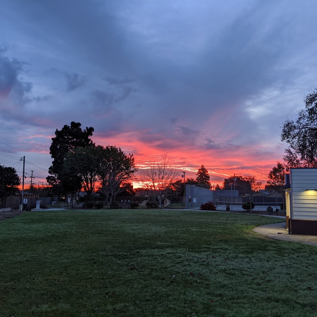 Alexander Park 1