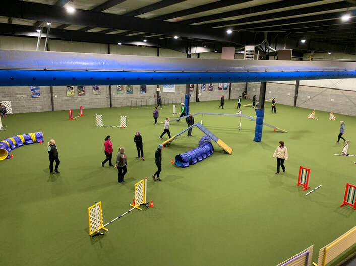 Go Dog Go Agility Club Trial 4