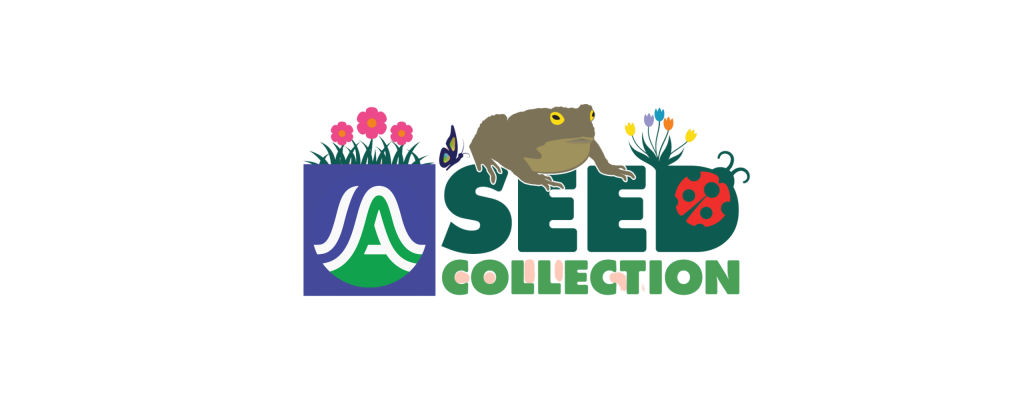 Seed Gathering 1