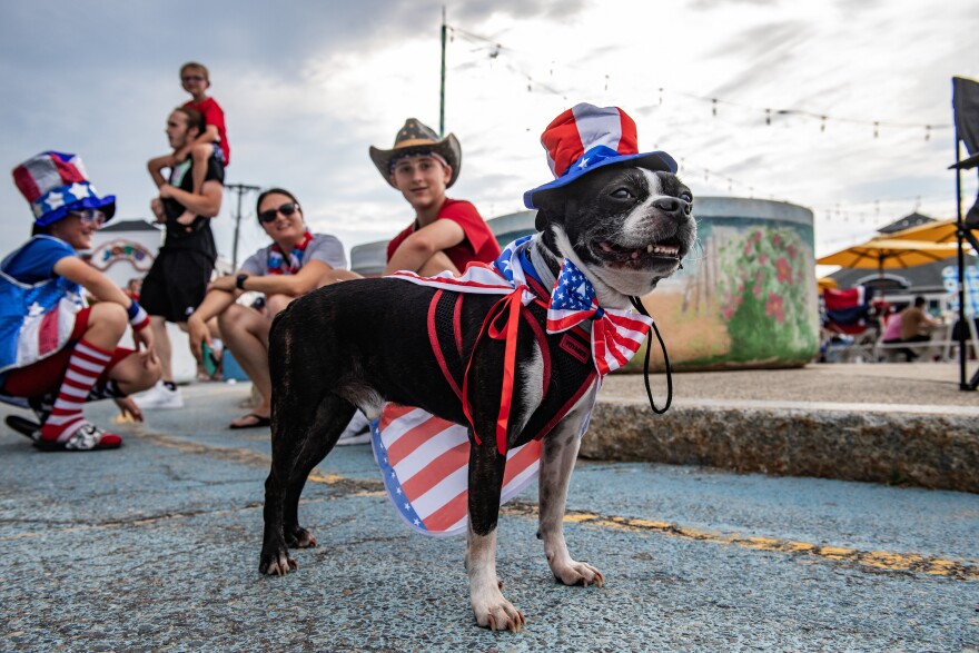 July 4th Pet Parade 2