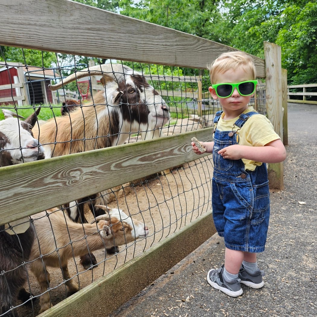 Toddler Time at the Farm 1