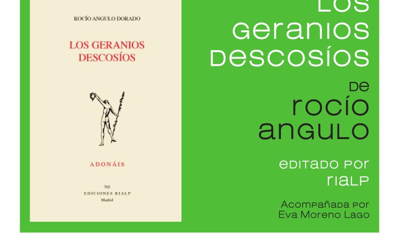 Los geranios descosíos de Rocío Angulo 1