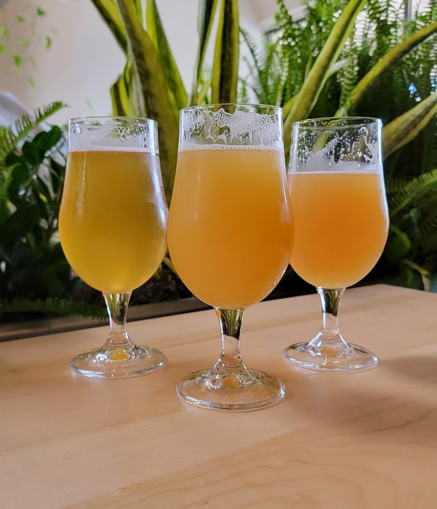 Wandering Leaf Brewing Company