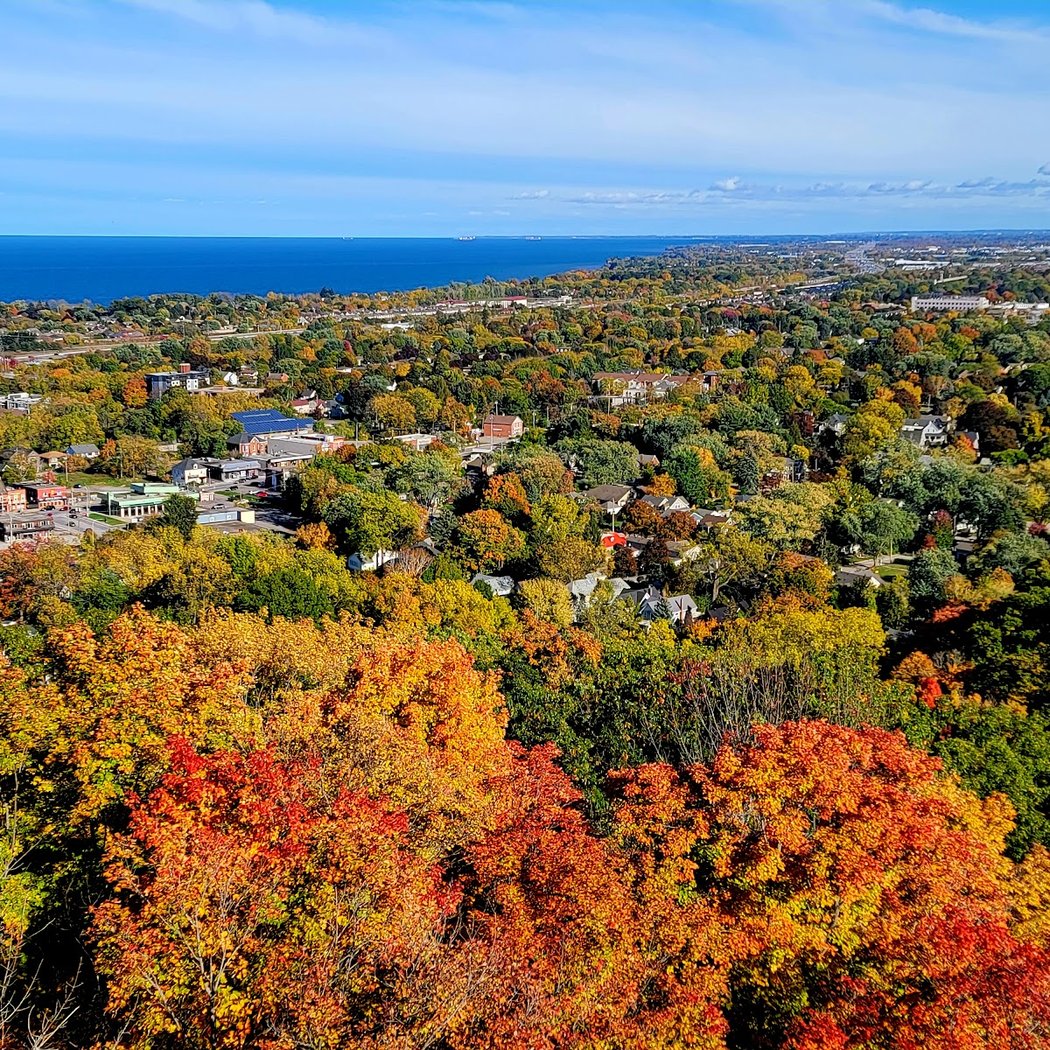 Beamer Memorial Conservation Area 2