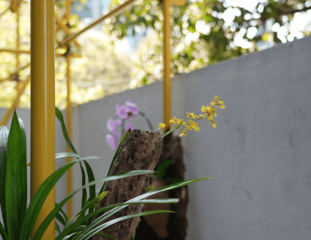 Living Botanicals 2