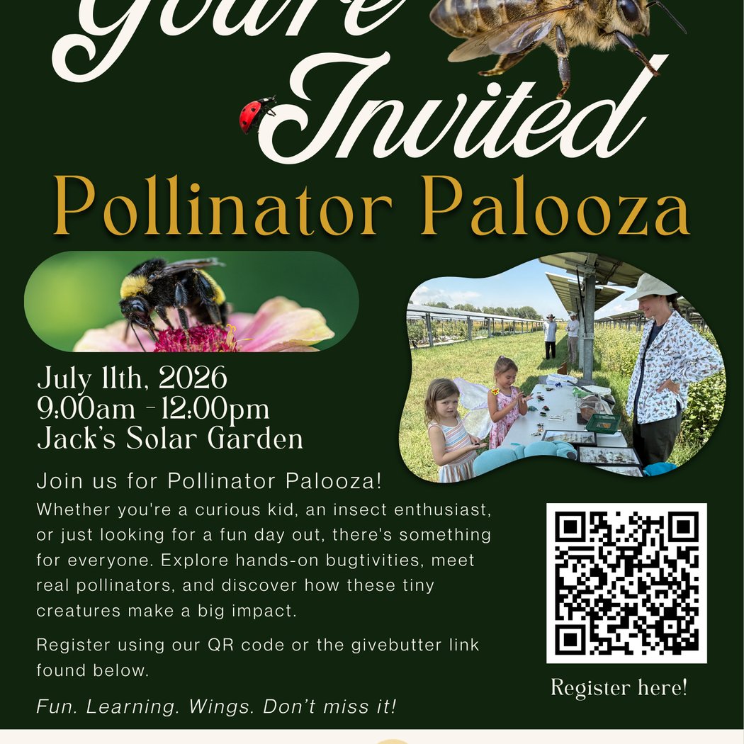 Pollinator Palooza 1