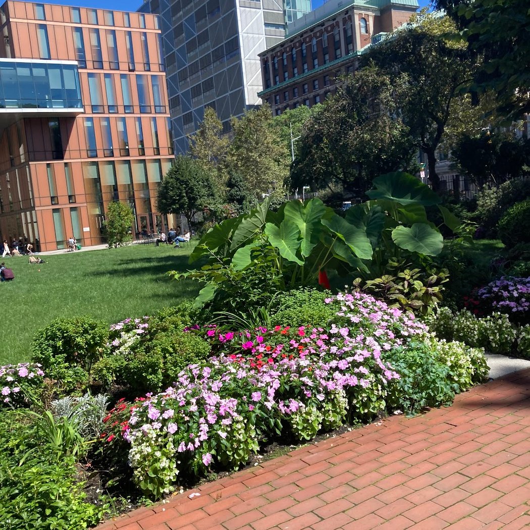 Morningside Campus 2