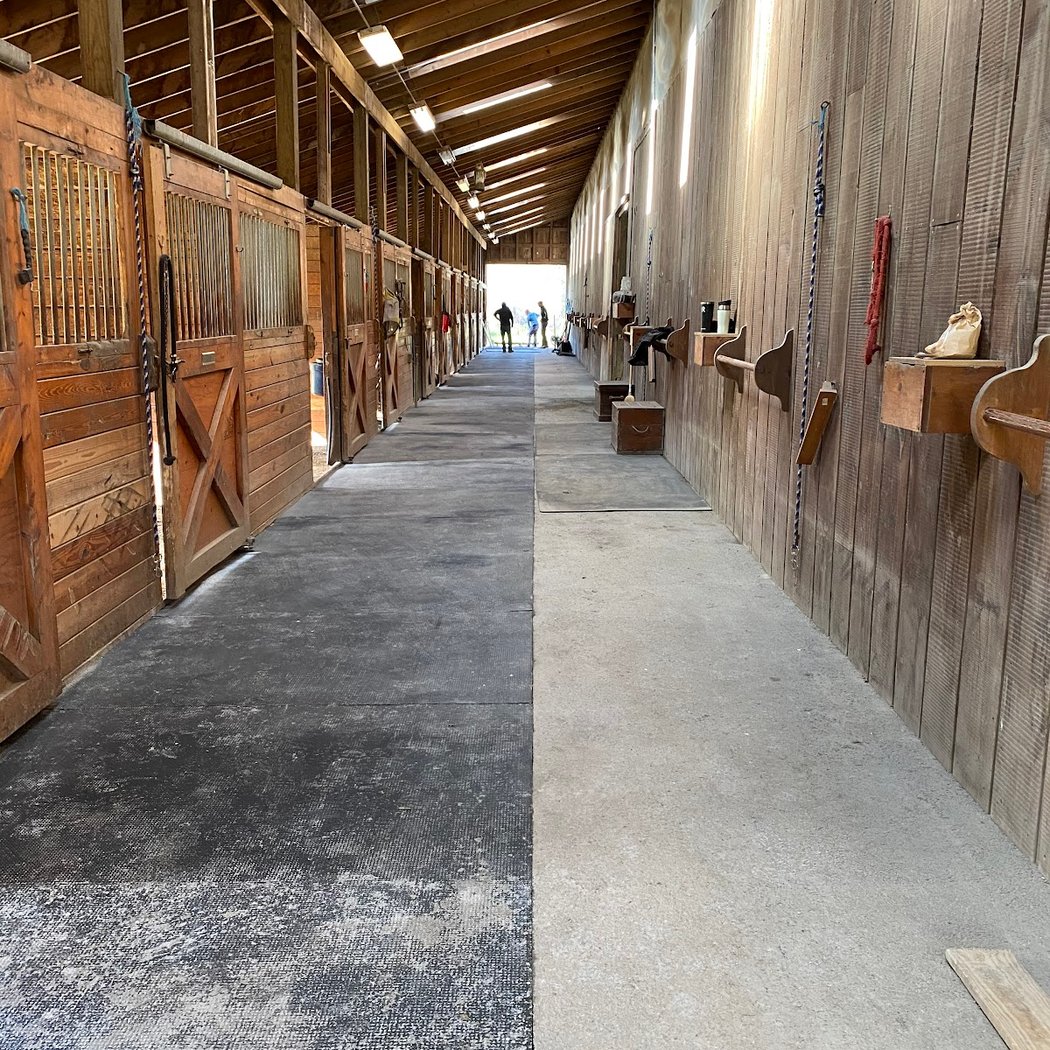 Taconic Equestrian 2