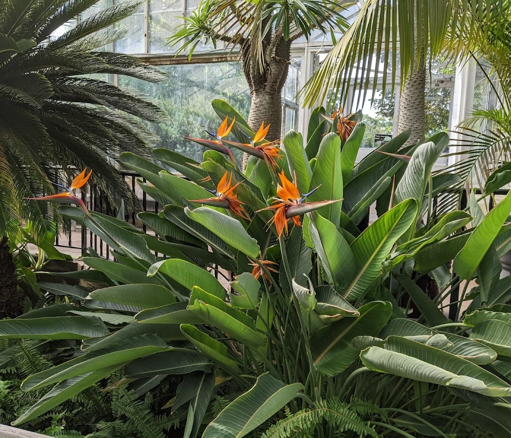 Luthy Botanical Garden Tour 1