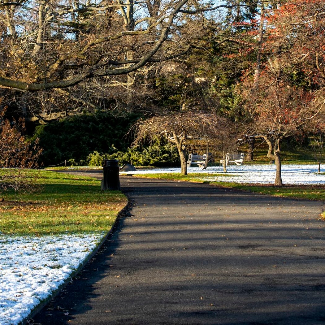 Chase Away the Winter Blues Tour 1