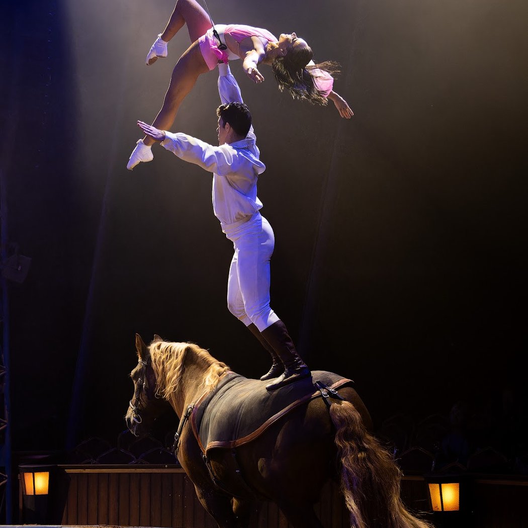 Cirque Alexis Gruss 5