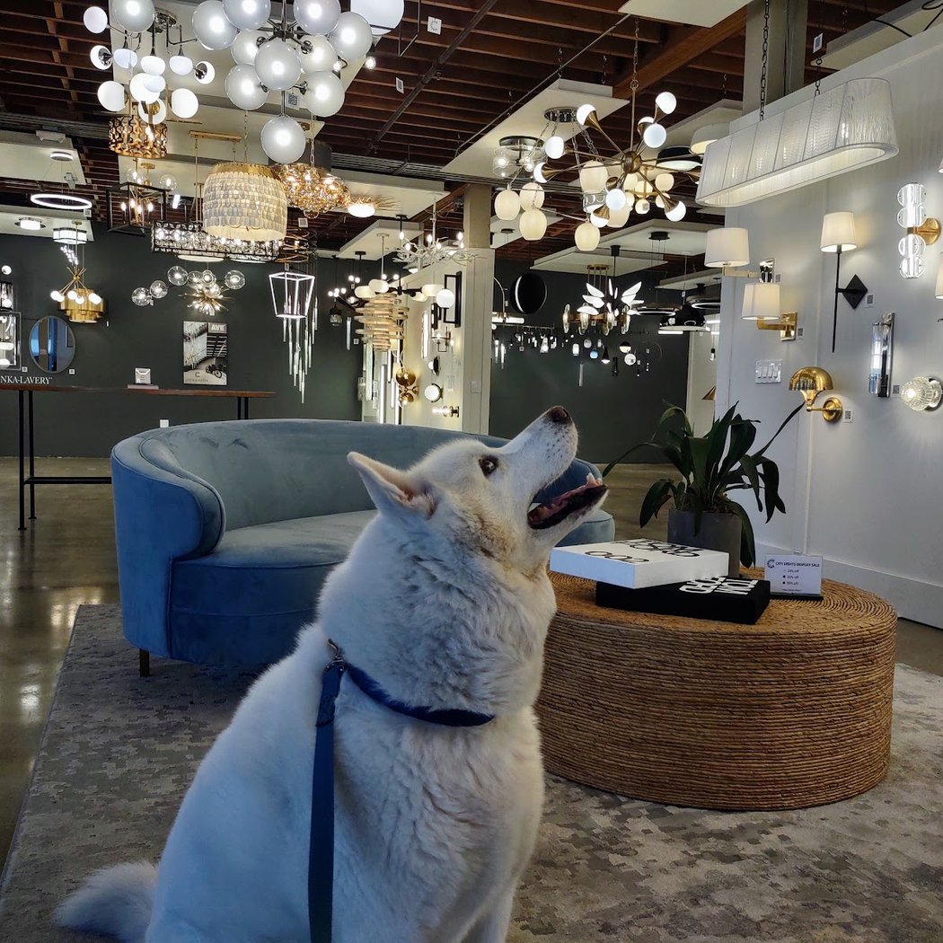 City Lights SF Showroom 3