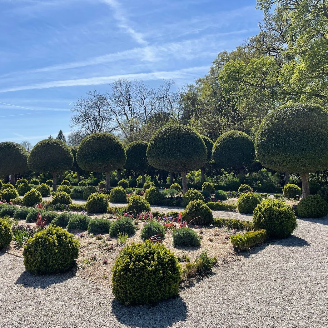 Jardin de l'Orangerie 2