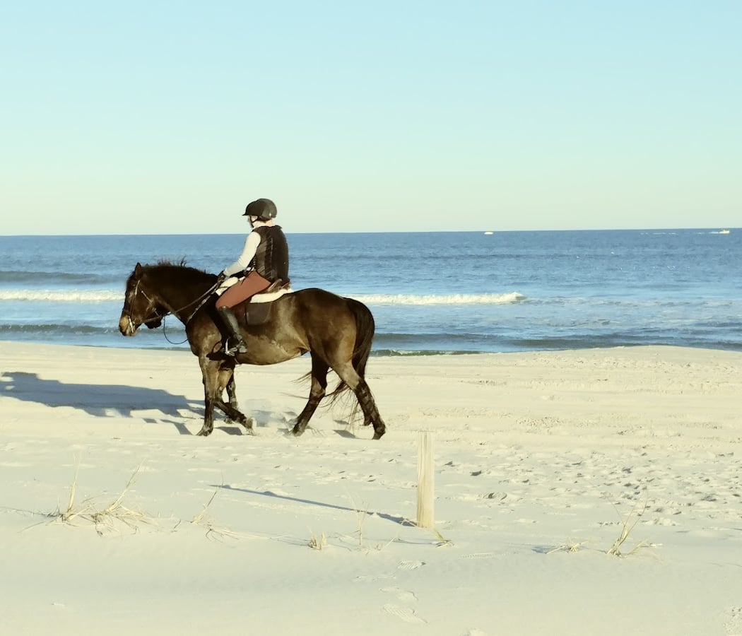 Island Beach State Park 1