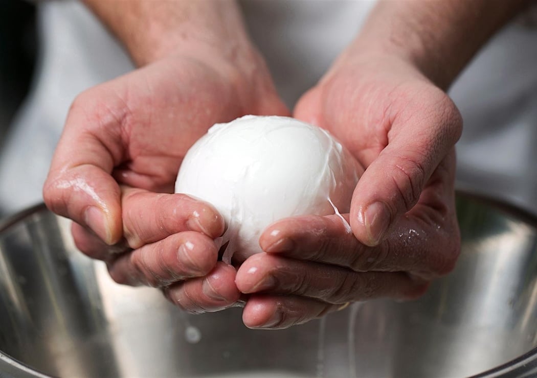 Hands-On: Mozzarella 1
