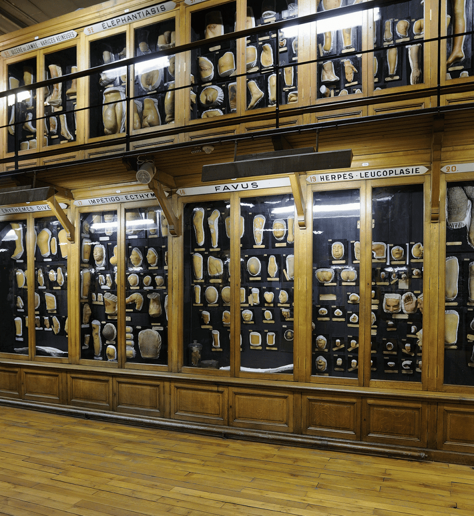 Musée des Moulages 1