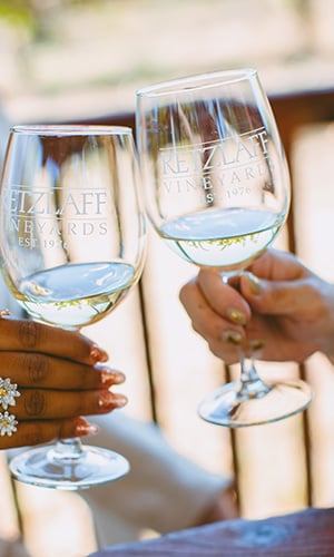 Open Friday for Wine Tastings and Picnics 1