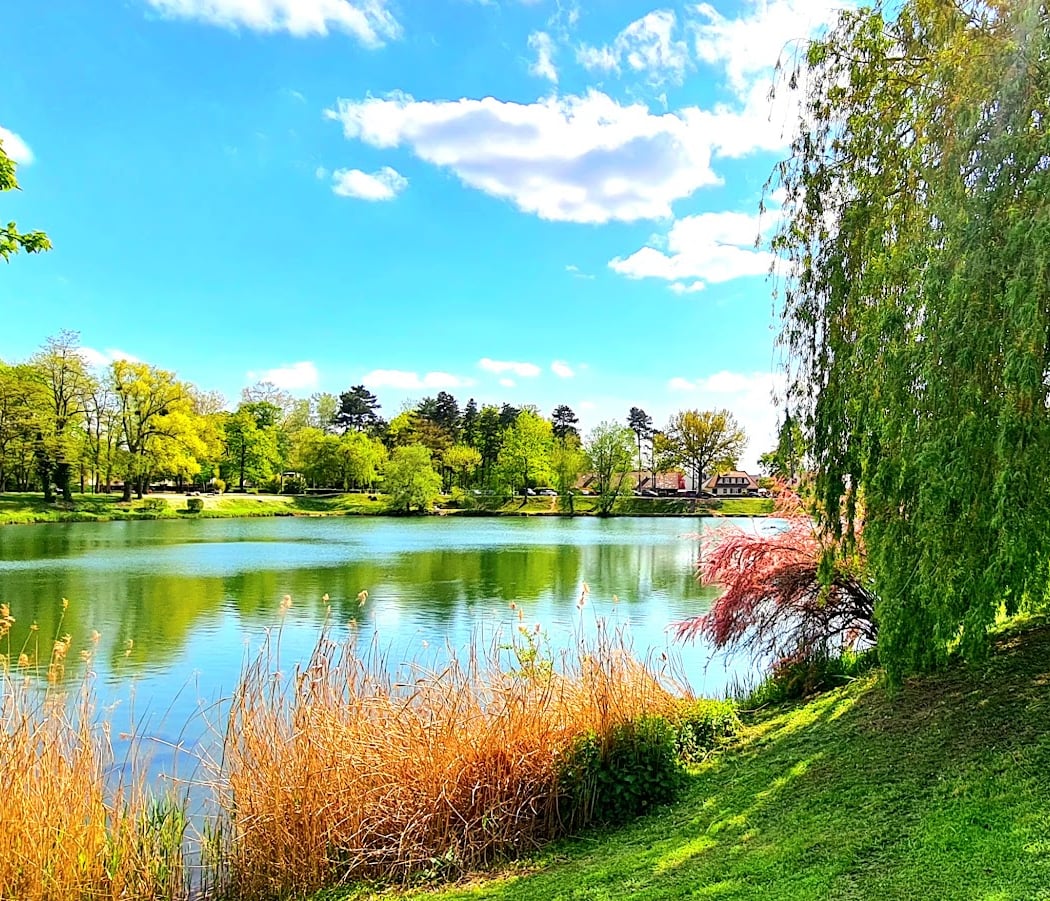 Parc de L’Isle-Adam 1