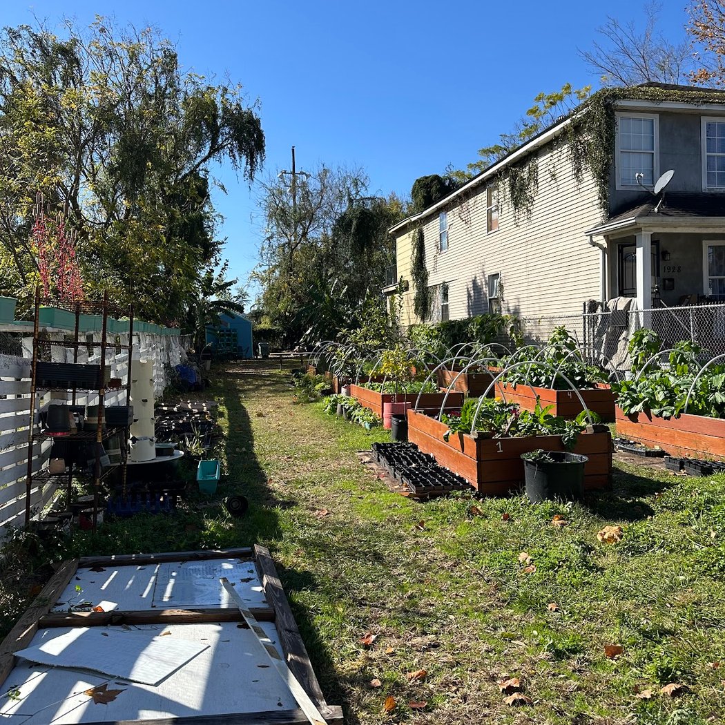 Volunteer with Recirculating Farms - Saturday Mornings 2