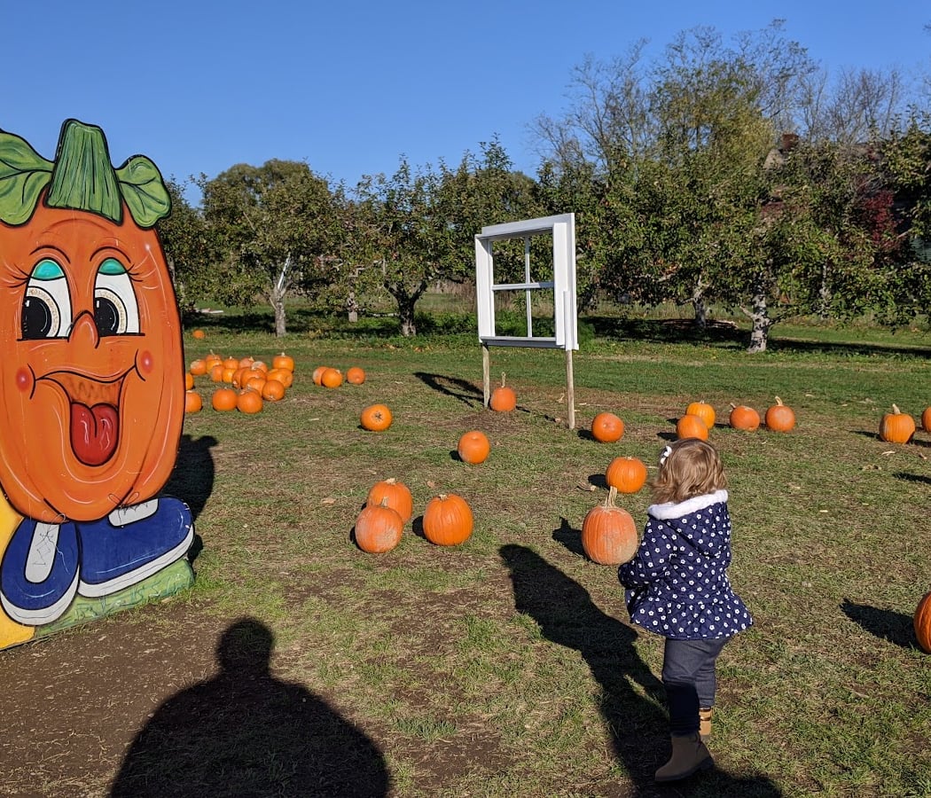 Harvest Festival 3
