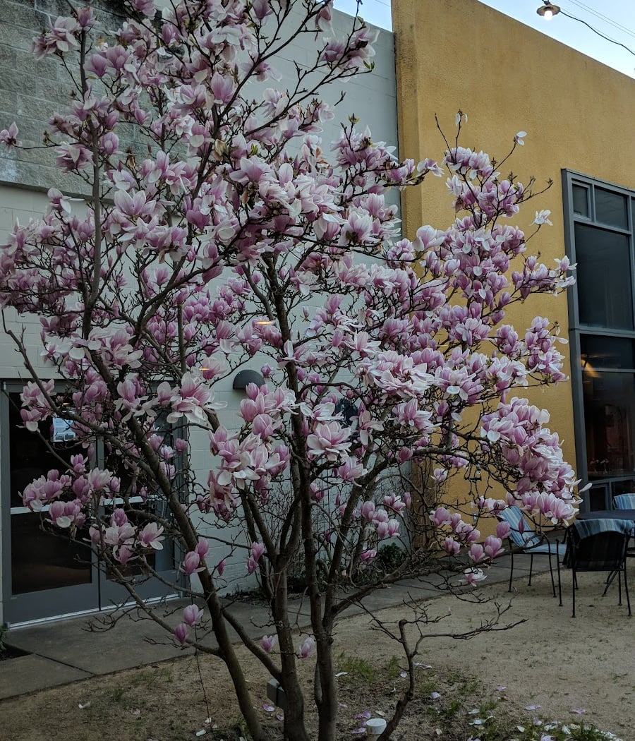 Glaser Center 3