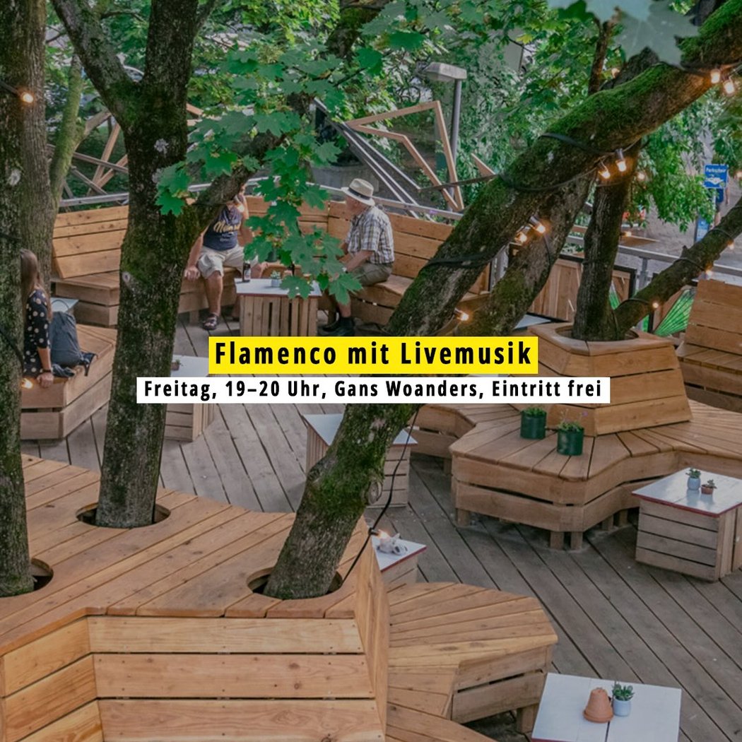 Flamenco mit Livemusik 💃 1