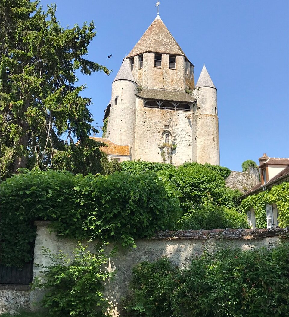 The Rose Garden of Provins 2