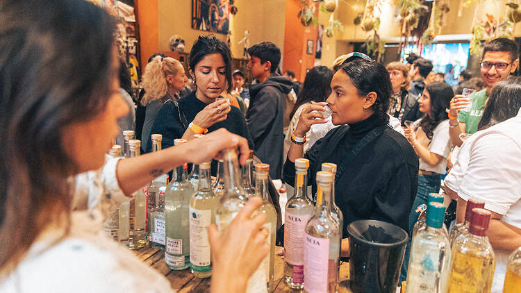 Viva Agave Festival 1