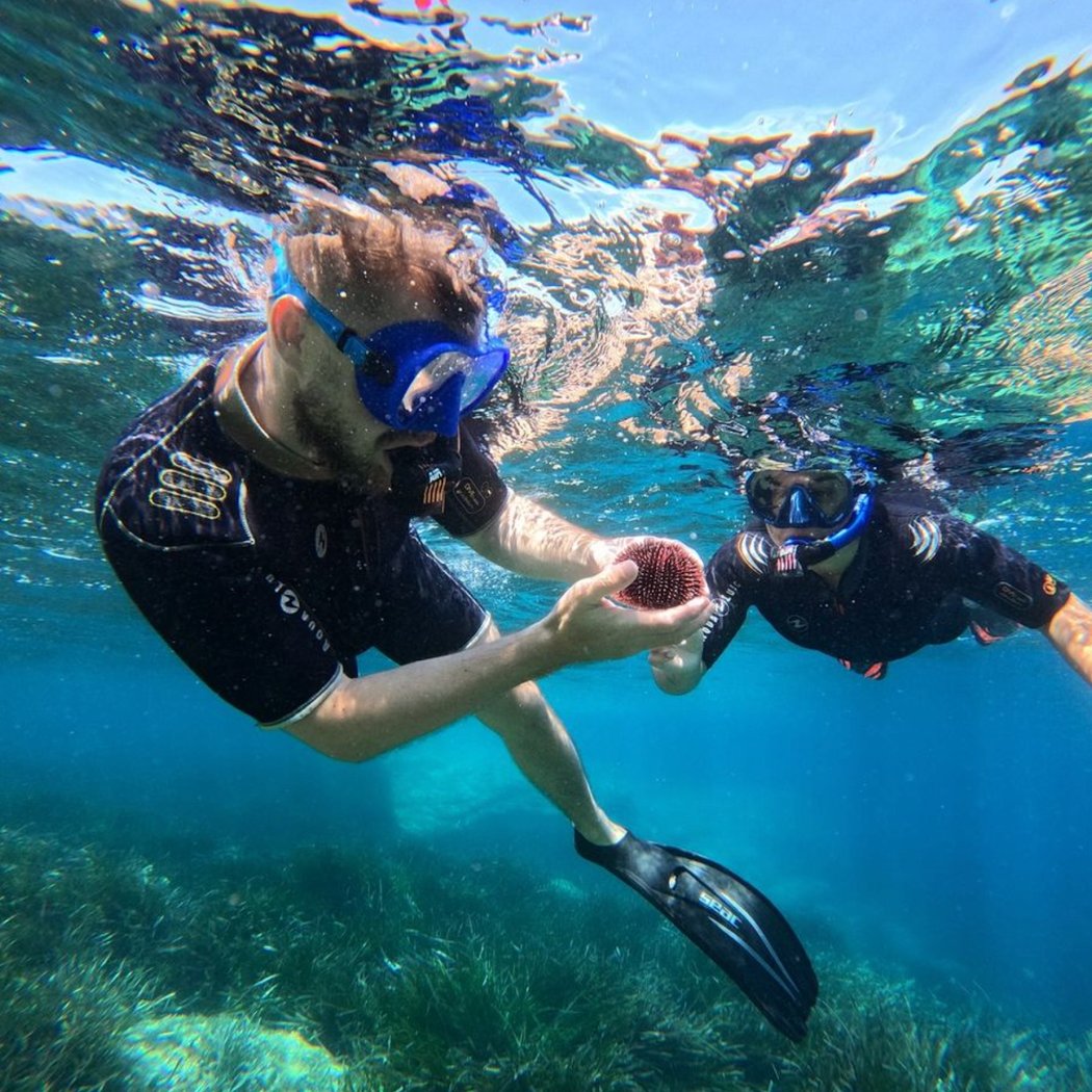 Sanary Snorkeling 2