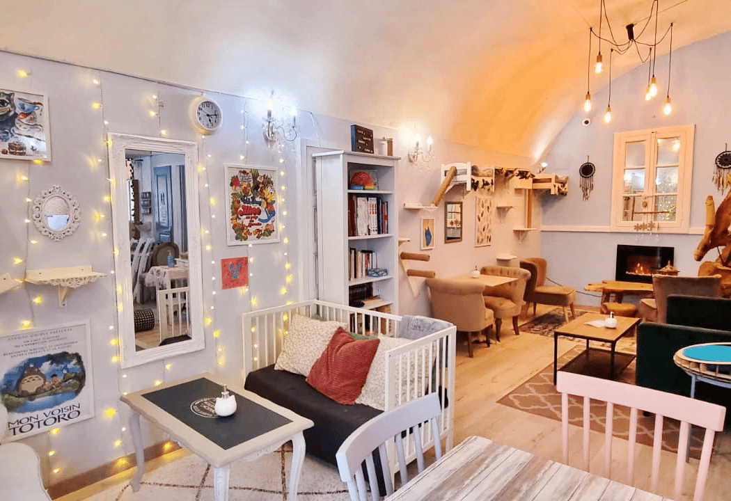 La Maison des Chats ~ Salón de thé & Brunch (+10y) 2