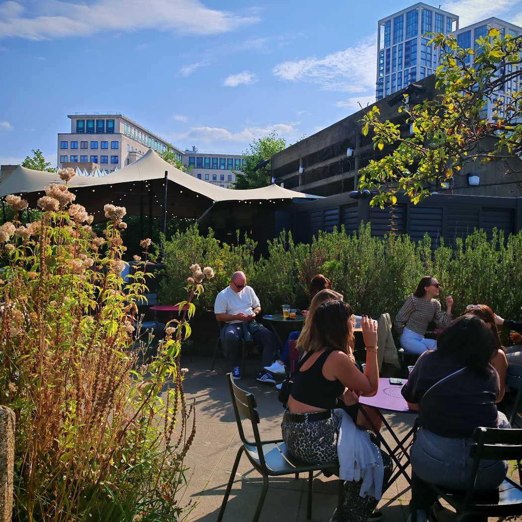 Queen Elizabeth Hall Roof Garden 1
