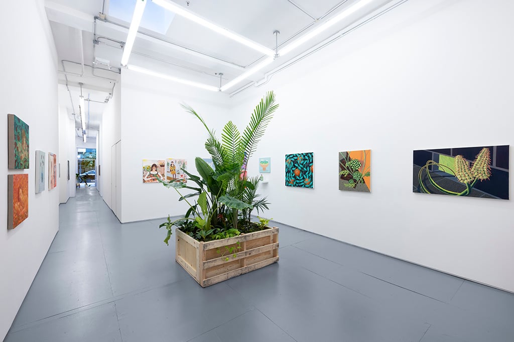 Hashimoto Contemporary 2