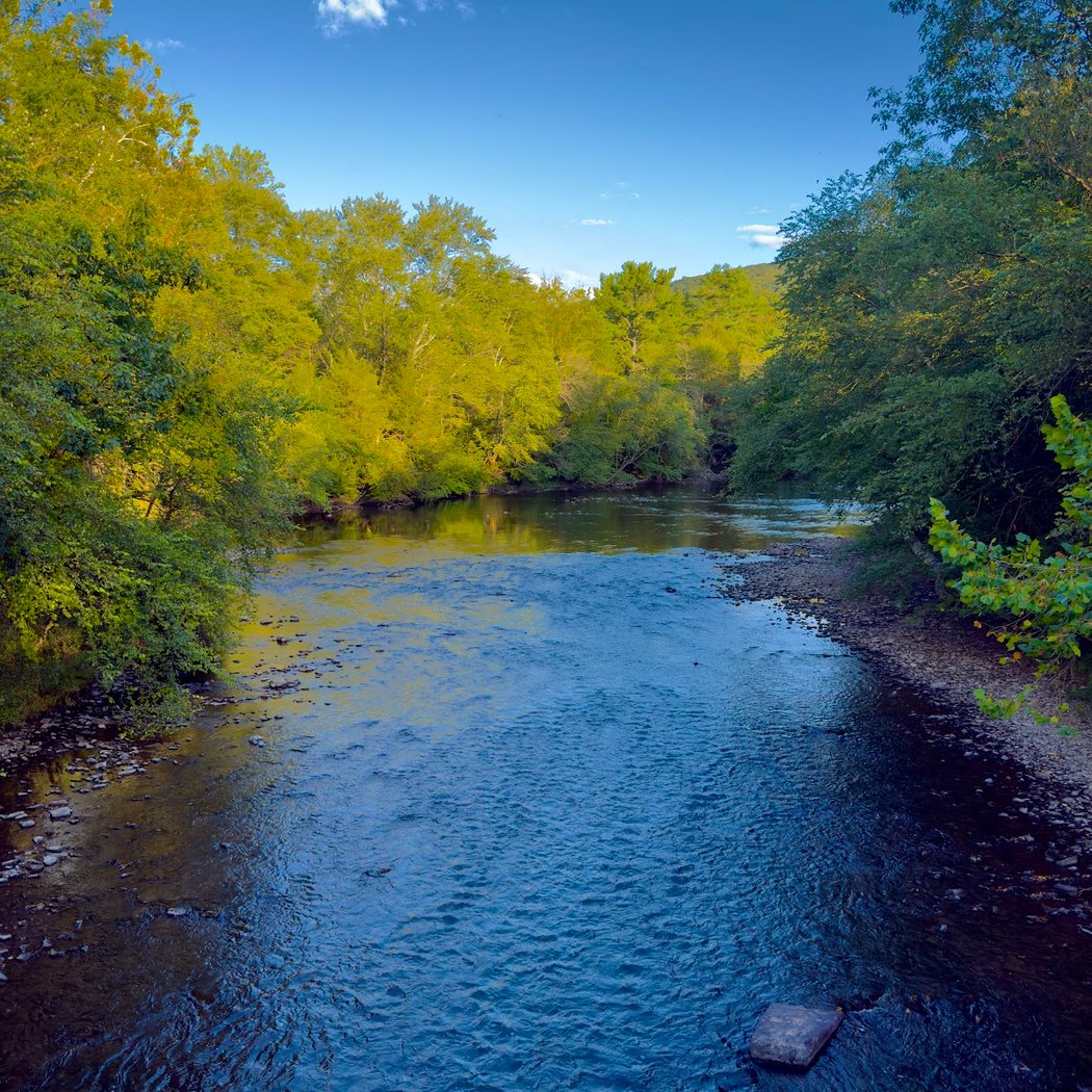 Swatara State Park 1