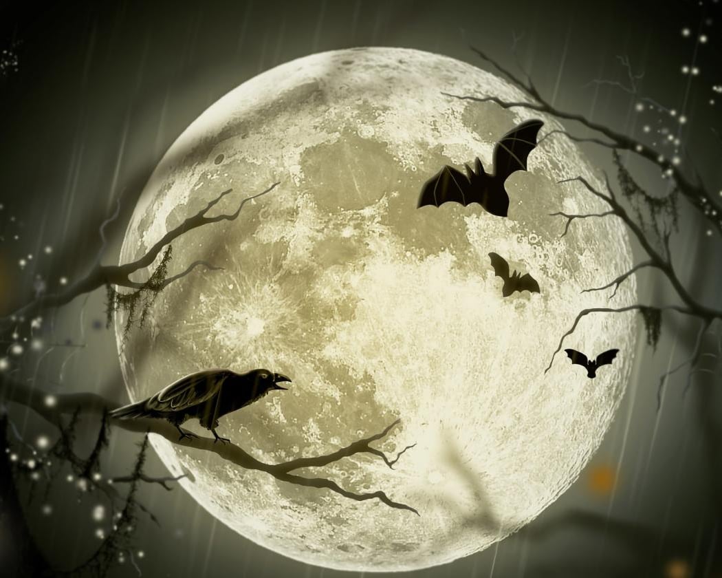 13th Annual Dark and Stormy Night