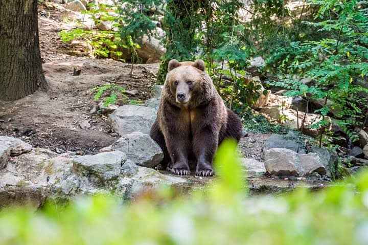 Zoo de la Flèche 4