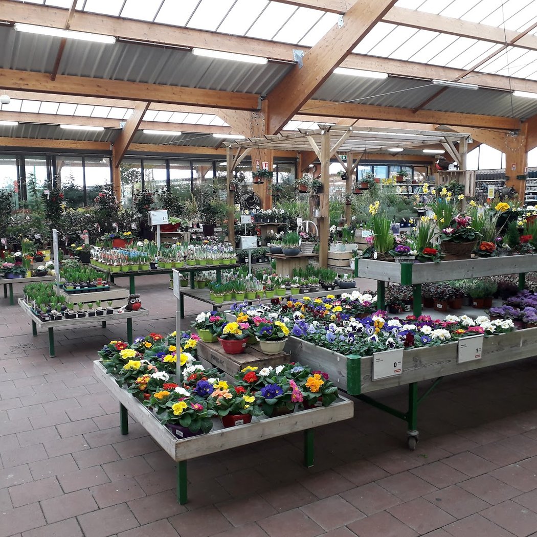 JARDILAND 2
