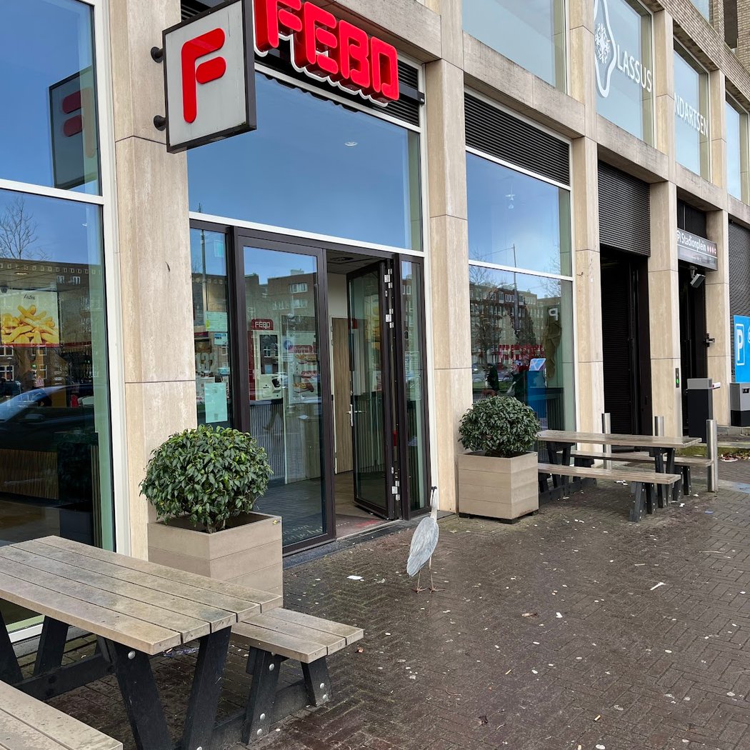 Febo 3