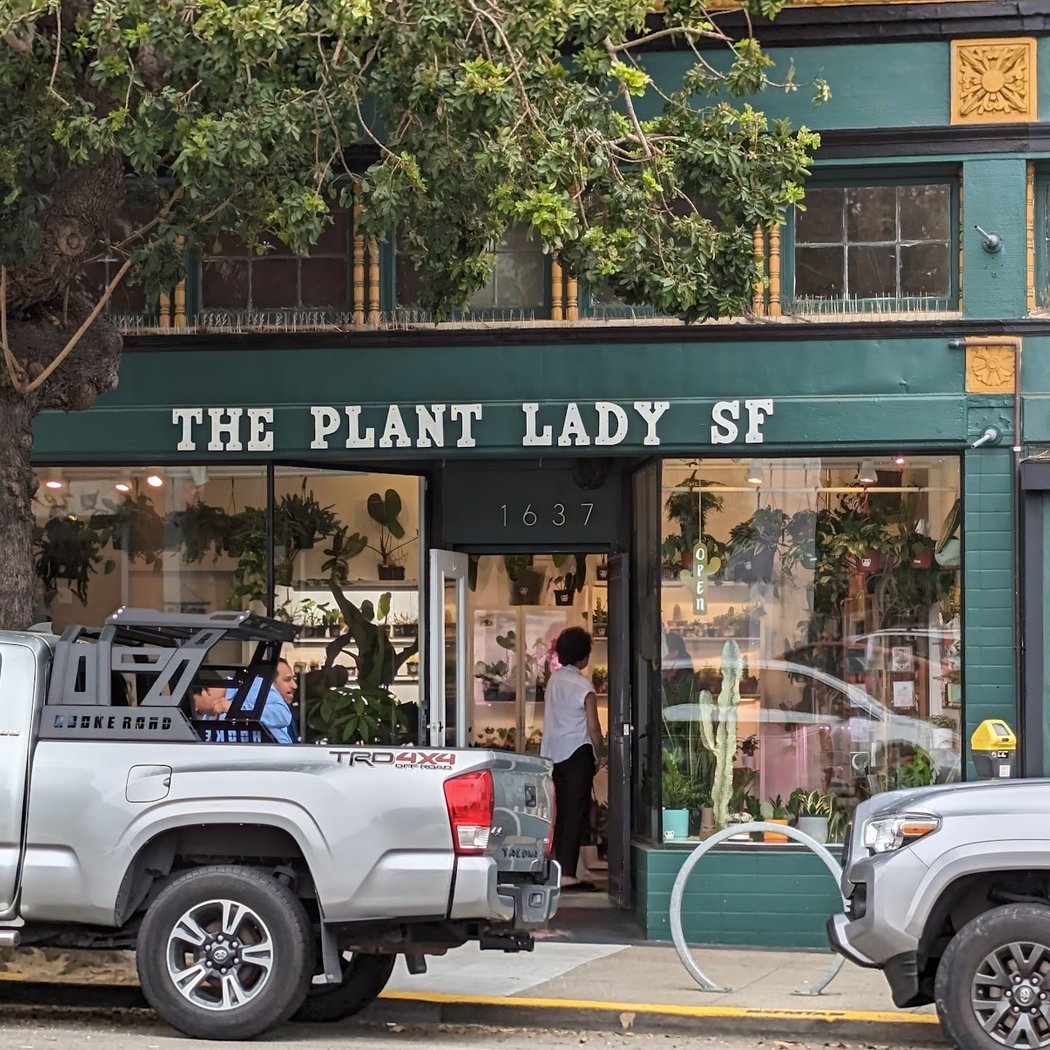 The Plant Lady SF 2